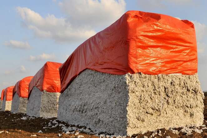 module cotton tarps cotton module tarps cotton tarps