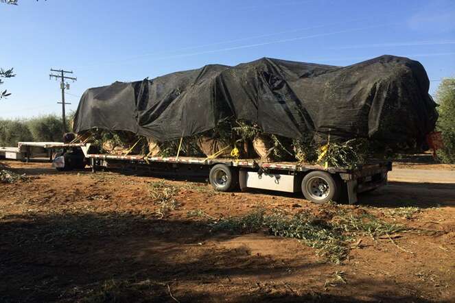 Nursery Cover Landscape Tarps Gardening Tarps