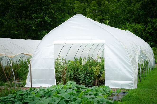 greenhouse cover agricultural tarps