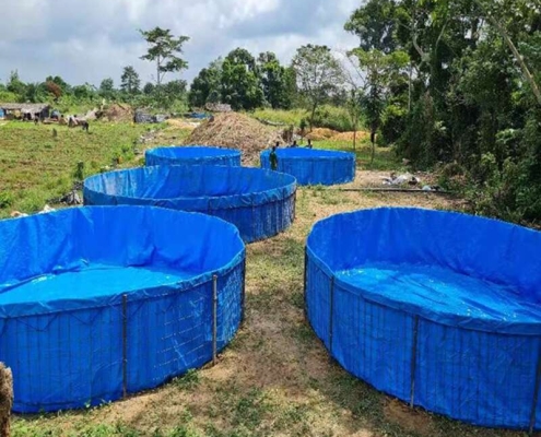 Weatherproof tarps for outdoor farming use Heavy duty polyethylene tarps for agriculture