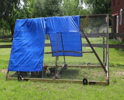 Chicken cage cover Backyard chicken shelter