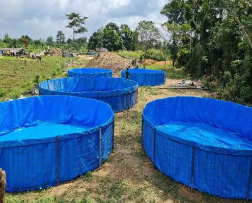 Heavy-duty pond liners for fish farming Pond tarps