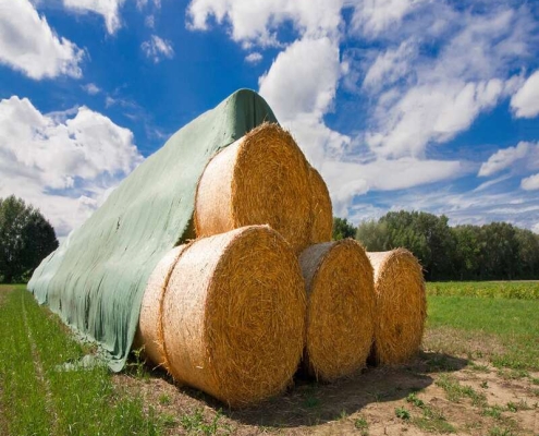 Breathable tarpaulin for straw preservation Large tarpaulin sheets for agricultural use