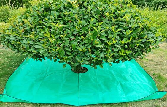 yard tarps Landscape Pruning Tarp waterproof tarps