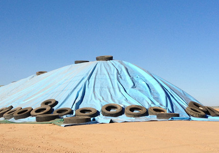 grain storage cover